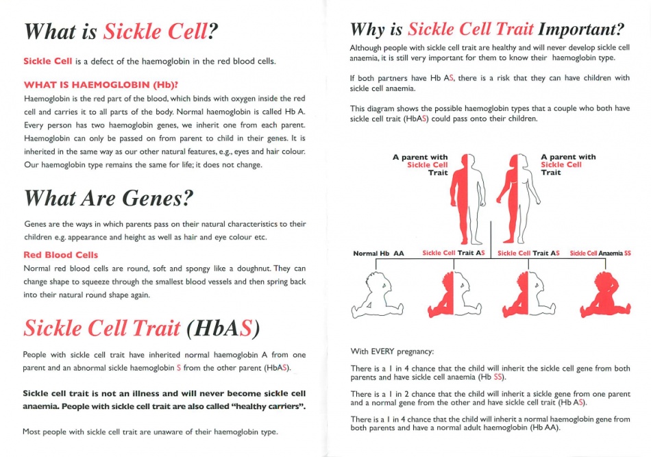 Sickle Cell and Thalassaemia centre