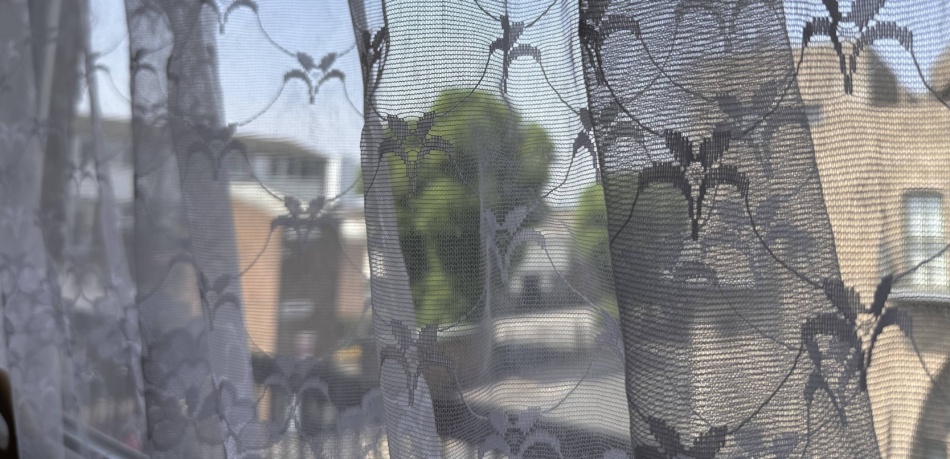 through a white net curtain you can see a tall new building on the right and trees and another older building on the left